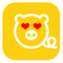全民养猪 官网版手机软件app