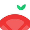 番茄空间手机软件app