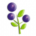 蓝莓资讯手机软件app