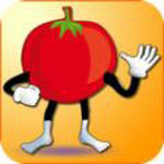 番茄先生手游app