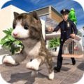 非常宠物猫模拟器 最新版手游app
