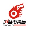 阳谷融媒手机软件app