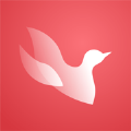 溯鸟课堂 最新版手机软件app