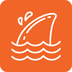 飞鲨壁纸 最新版手机软件app