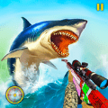 鲨鱼狩猎动物射击手游app