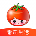 番茄生活手机软件app