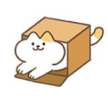 进来吧猫咪纸箱手游app
