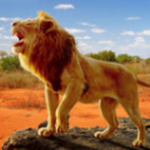 狮子王模拟器 无限升等级版手游app