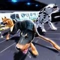 警犬追捕模拟器手游app