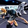 警犬追捕模拟器 中文版手游app