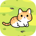 收养一只流浪的猫 中文版手游app