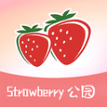 草莓公园手机软件app