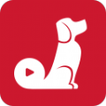 红小狗视频手机软件app