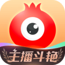 石榴 app网址进入手机软件app