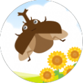 我和甲虫的暑假手游app