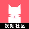 猫咪视频手机软件app