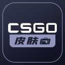 CSGO皮肤宝手机软件app