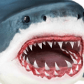 终极鲨鱼攻击手游app