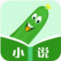 丝瓜小说手机软件app
