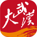 大武汉手机软件app