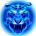 四虎影视 2021版手机软件app