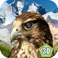 鹰鸟生存模拟器手游app