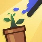 Watering Maze 手机版手游app