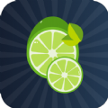 柠檬小说书源手机软件app