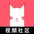 猫咪app 最新地域网名入口手机软件app