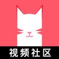 猫咪视频 无限制版手机软件app