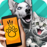 动物语言翻译器 在线使用手机软件app