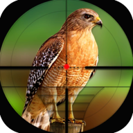 鸟类狩猎挑战手游app