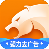 猎豹浏览器 网页版手机软件app