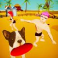 BeachFrisbee3D手游app