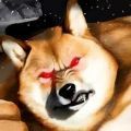 肌肉柴犬 2022最新版手游app