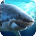 真实鲨鱼捕食模拟器手游app