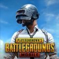 pubg国际服 正式服手游app