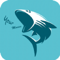 鲨鱼影视 2024最新版手机软件app