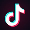 tiktok 无网络连接怎么办2024手机软件app