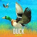 野鸭狩猎模拟器手游app