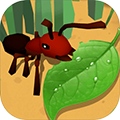 蚂蚁进化3D 正版手游app