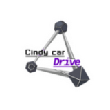 辛迪汽车驾驶模拟 中文版手游app