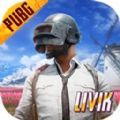 pubg俄罗斯服手游app