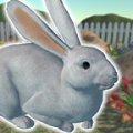 兔子朋友手游app