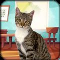猫模拟器：可爱小猫手游app
