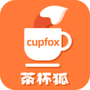 茶杯狐 cupfox官方正版网页手机软件app