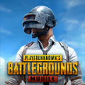 pubgmobile 国际服手游手游app