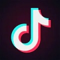 tiktok 抖音国外版手机软件app