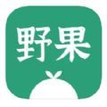 野果阅读 最新版手机软件app