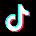 tiktok 国际版手机软件app